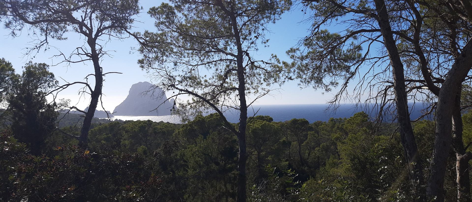 The rock island of Es Vedr&agrave; out at sea, seen through pine trees on the Ibiza coast